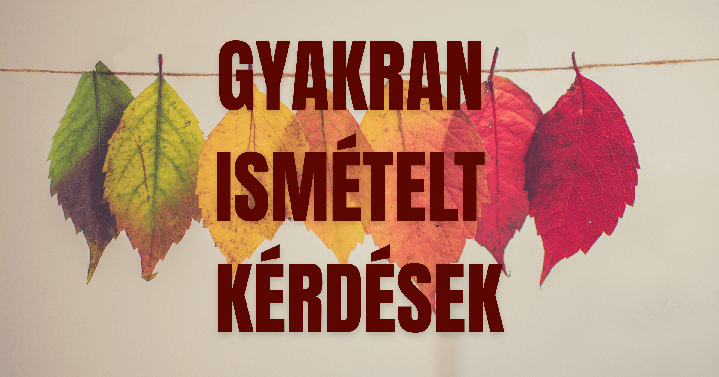 Őszi falevelek Gyakran ismételt kérdések felirattal